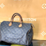 louis vuitton speedy35