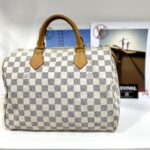 Louis Vuitton Speedy30 Damier azur