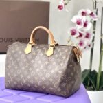 Louis Vuitton speedy 35 Monogram